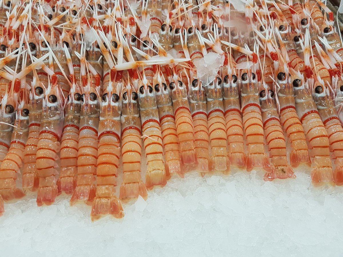 Pleased to share our new paper on using innovation to minimise the opportunity for #seafood #fraud in a post-COVID world. Led by criminologist <a href="/DrJadeLindley/">Jade.Lindley</a>.

A collaboration born from <a href="/world_fisheries/">World Fisheries Congress</a> #WFC2021

<a href="/RFBFisheries/">Reviews in Fish Biology and Fisheries</a> <a href="/MARISLabs/">MARIS Lab</a>

link.springer.com/article/10.100…