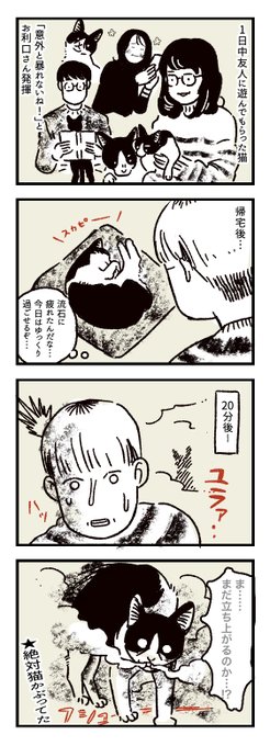 猫かぶってた。本当はグレムリンなのに。 