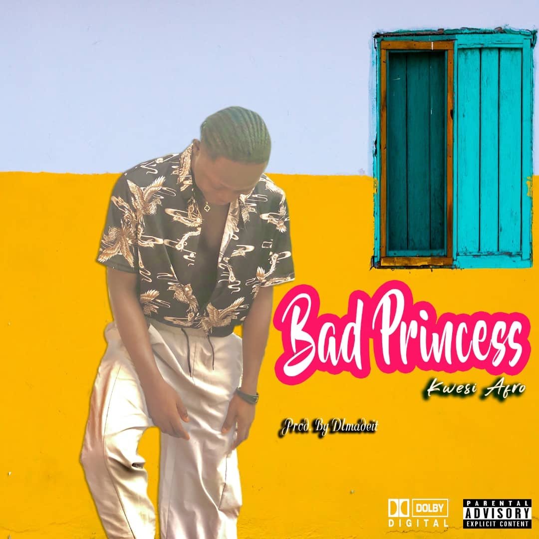 ManagementVolta's tweet photo. @kwesi_afro UNLEACHED HIS ATTITUDE WITH BAD PRINCESS.
 https://t.co/KK1Ie1jNjI https://t.co/N1s5R077tq