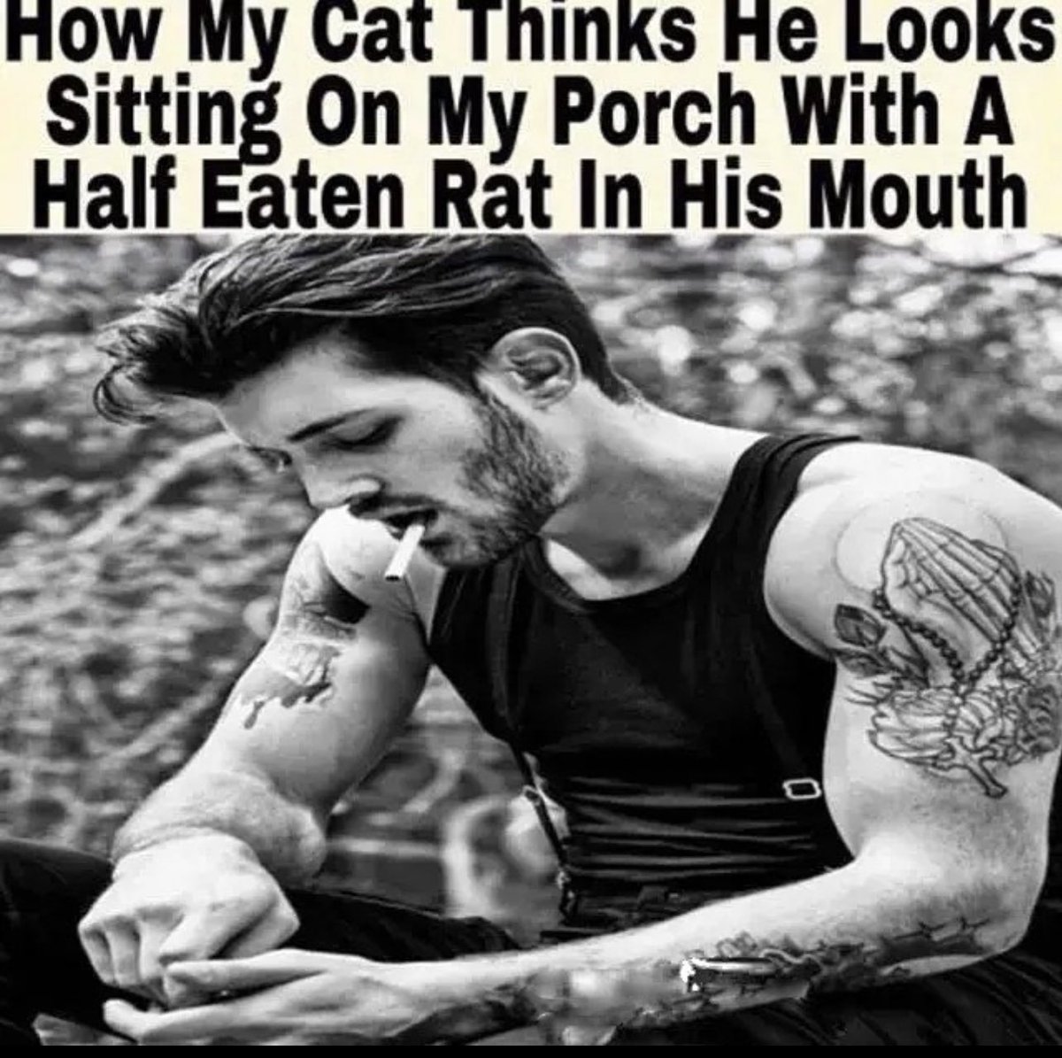 ohlode's tweet image. 