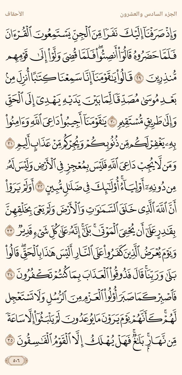 AlMosahf's tweet photo. ورد الاثنين https://t.co/sBIAuLa3Lg