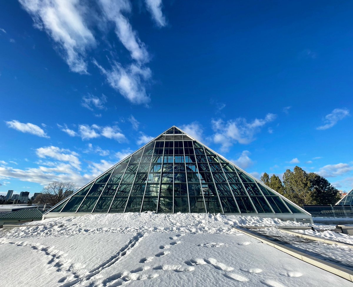 Ashley Salvador (@ashleyasalvador) on Twitter photo Visit Gaia <a href="/yegmuttart/">Muttart Conservatory</a> from January 14 to February 26! This unique exhibit features touring artwork by UK-based artist Luke Jerram, who is known globally for his large-scale public artworks ๐ #yeg #WardMรฉtis Visit Gaia <a href="/yegmuttart/">Muttart Conservatory</a> from January 14 to February 26! This unique exhibit features touring artwork by UK-based artist Luke Jerram, who is known globally for his large-scale public artworks ๐ #yeg #WardMรฉtis