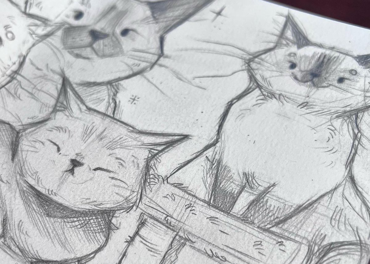_katdew's tweet photo. Estudio que hice de gatitos🖤

Hechos con lápiz en mi sketchbook y retocados en digital✨ https://t.co/zMhTPTmYr0