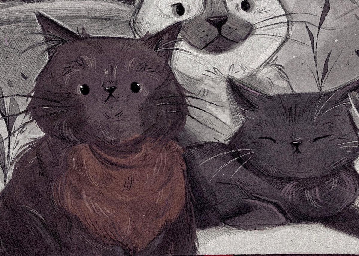 _katdew's tweet photo. Estudio que hice de gatitos🖤

Hechos con lápiz en mi sketchbook y retocados en digital✨ https://t.co/zMhTPTmYr0