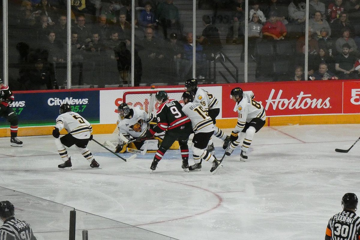 AMHPhotos2018's tweet photo. Just a few of the photos I took in the first half of the season 📸🏒 

You can see the full album (2022-23 Halifax Mooseheads) on my Facebook page #halifaxmooseheads #gomoosego #qmjhl #chl #scotiabankcentre #halifaxphotographer #sportsphotography #discoverhalifax #amhphotos https://t.co/uloIgPEFY3
