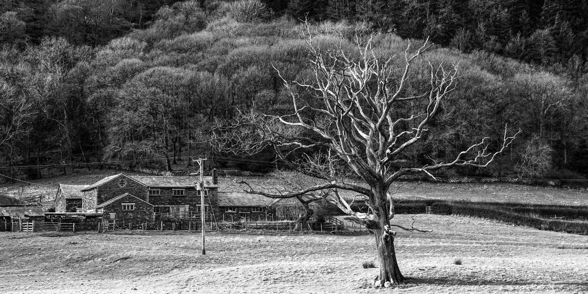 gee369's tweet photo. Weekends in the lakes, just the best playground there is to spend your days playing with the new Sony FE 70-200 GM OS II.. #LakeDistrict #igerscumbria #thelakelanders #SonyAlpha #lakedistrictphotography #keswick https://t.co/C2MIOsbvAs