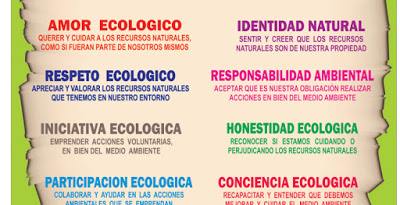 Ambientalista. tweet media