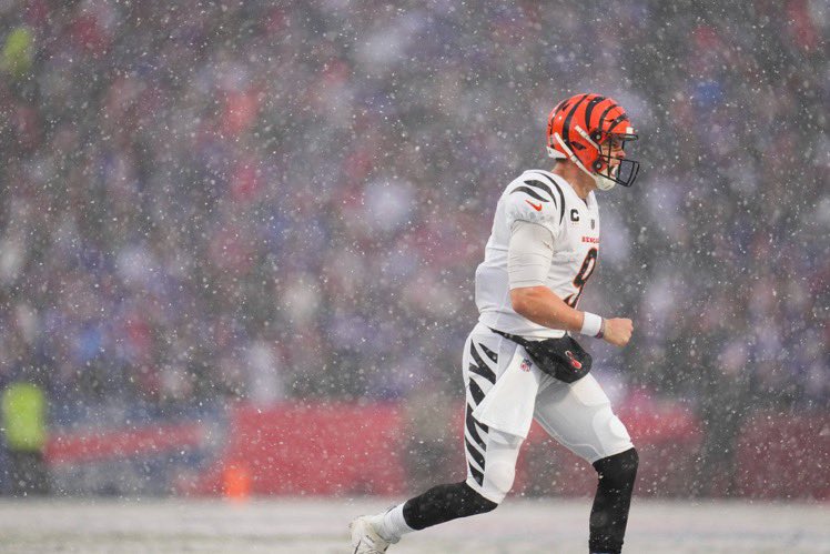 Patrick Carey tweet media