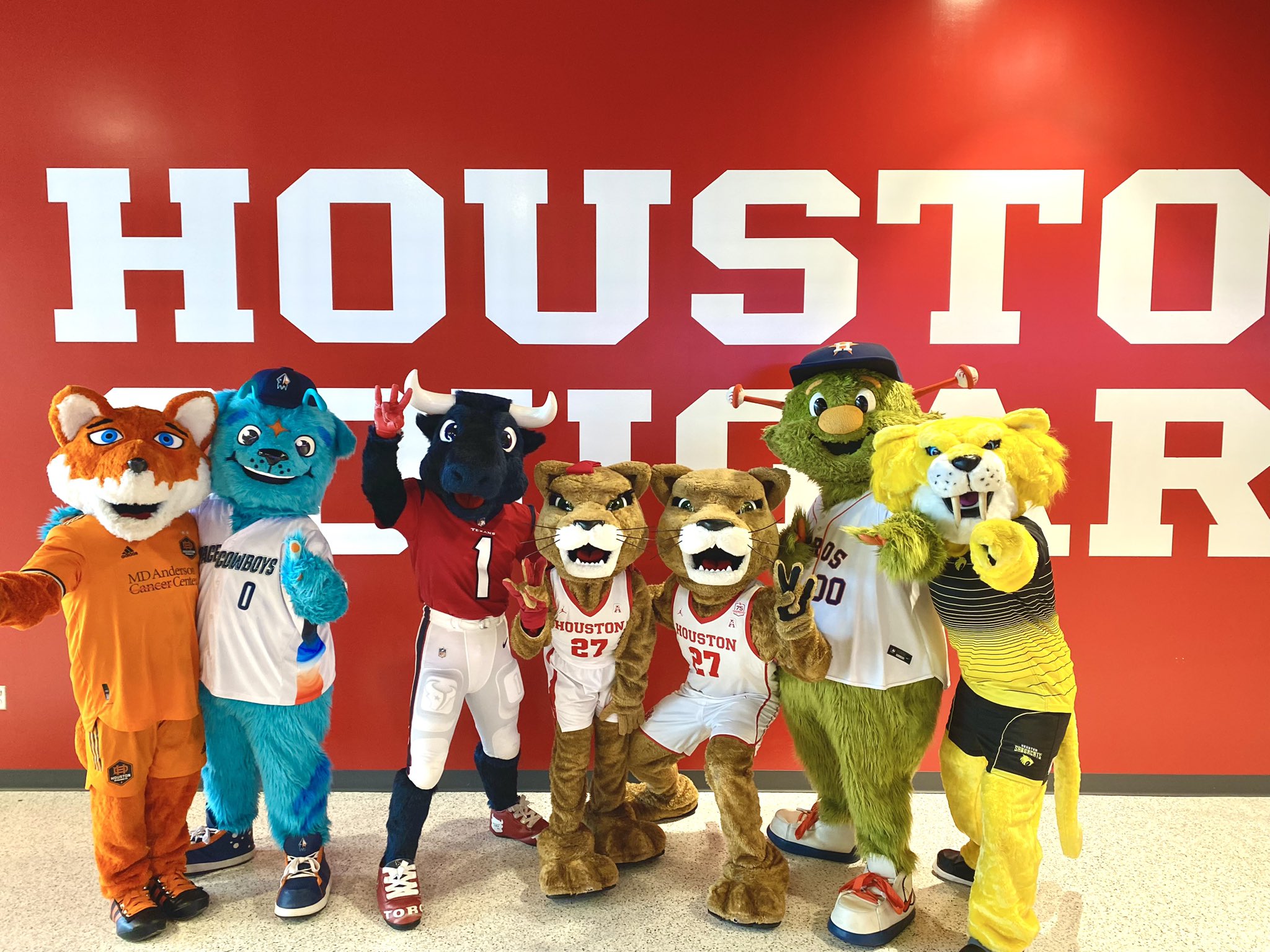 Houston Astros Orbit on X: Sunday Funday at @UHCougarMBK Mascot