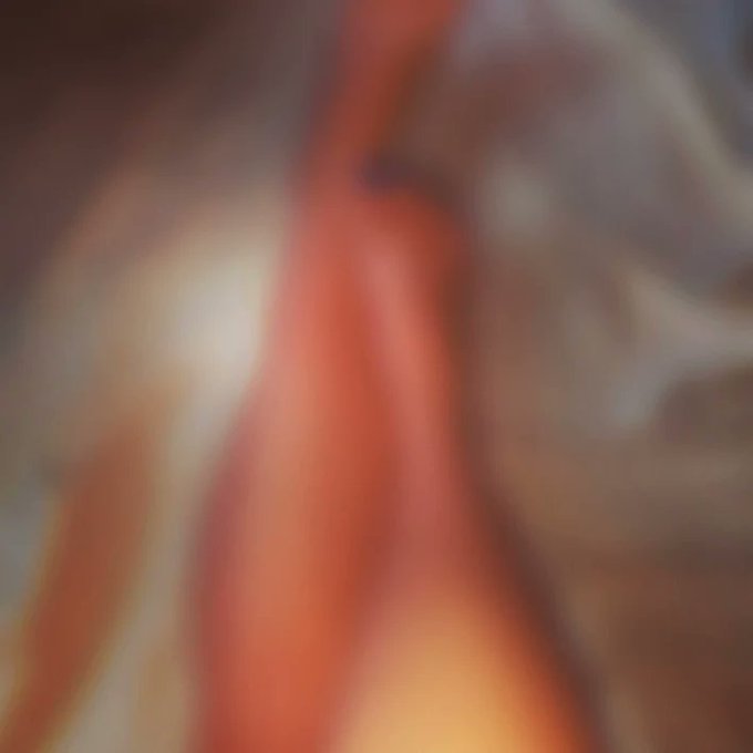 To see the full photo and the rest in the set, subscribe to my OnlyFans! Limited free trial offer!  https://t<a href="/tag/feet"class="tags"><span>#feet</span></a><a href="/tag/feetlover"class="tags"><span>#feetlover</span></a><a href="/tag/onlyfans"class="tags"><span>#onlyfans</span></a><a href="/tag/onlyfansgirl"class="tags"><span>#onlyfansgirl</span></a><a href="/tag/onlyfansbabe"class="tags"><span>#onlyfansbabe</span></a>