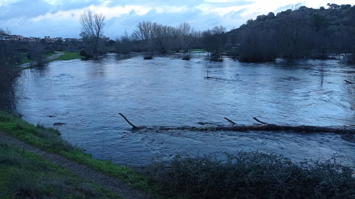 rio aliste (@rioaliste) / Posts / X