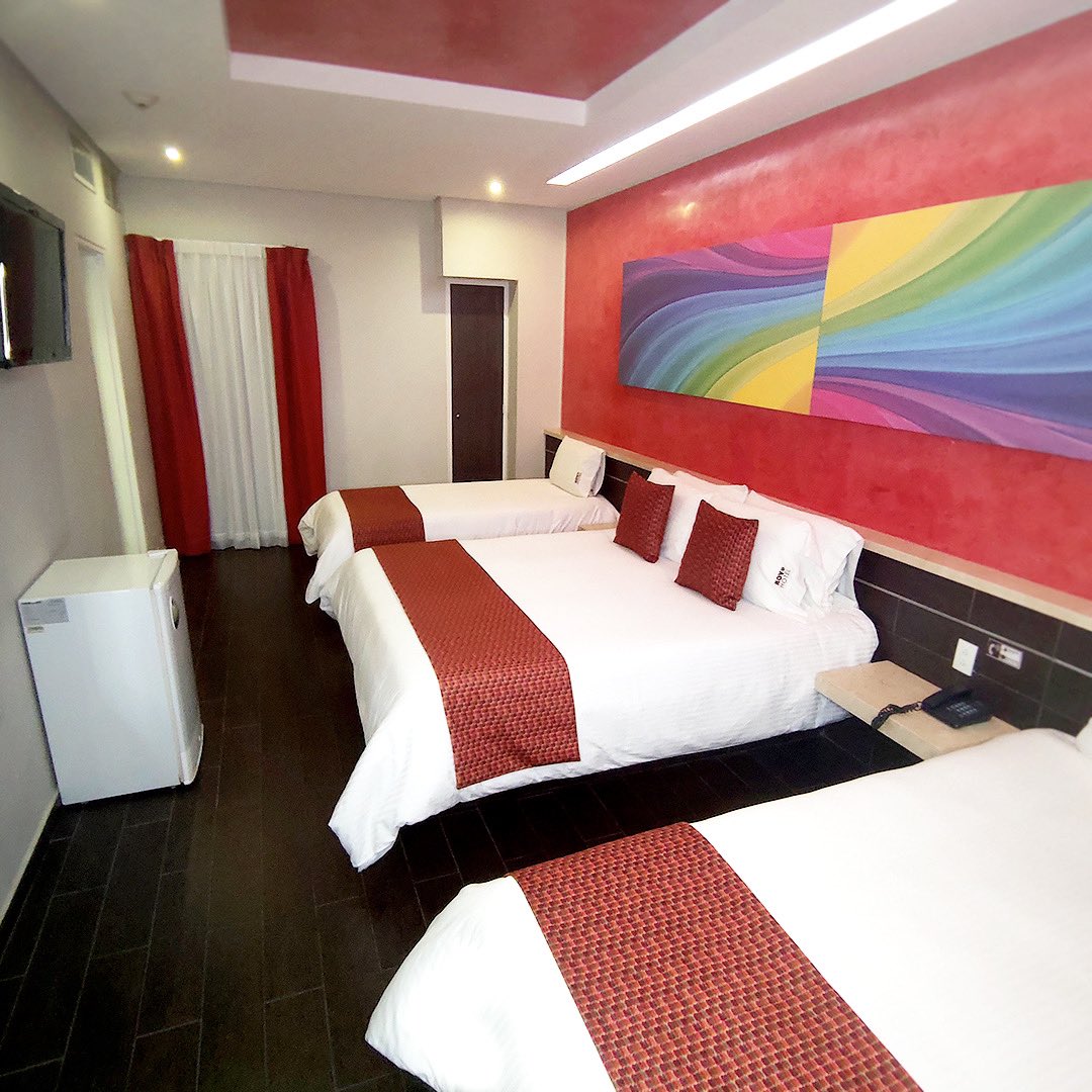 Novohotelexpres's tweet photo. Nuestra habitación familiar es la opción perfecta para ti y tu familia 👌🏽

Se sentirán como en casa al momento de ingresar en #NovoHotel 

Reserva a través de:
🔸 https://t.co/A1s9rcUirI 
🔸 reservaciones@novohotelexpress.com https://t.co/Ot2lMcappB