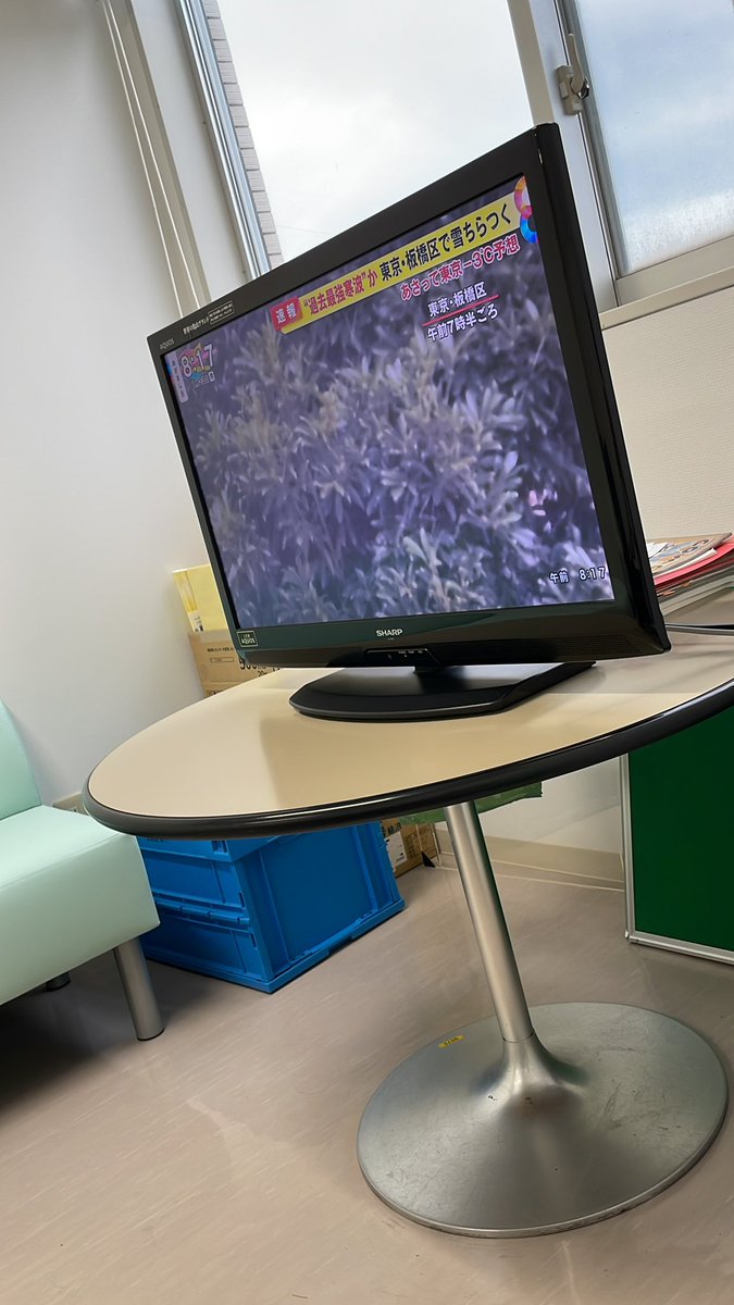 東京で雪ちらつくくらいで速報にすな☃️