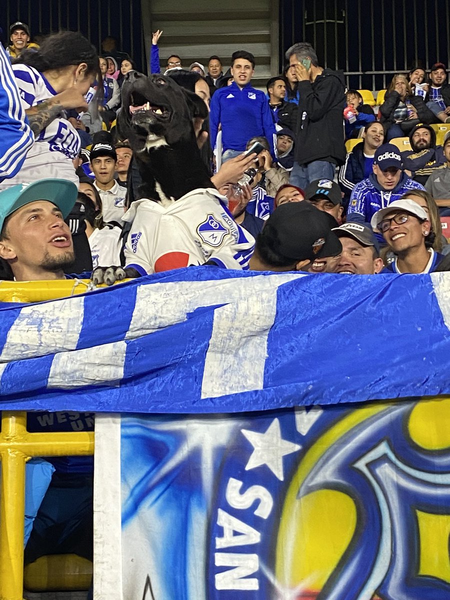 IsabelFajardoDH's tweet photo. Ok, pero hablemos del perrito de millos que me encontré en el estadio. @MillosFCoficial https://t.co/kqmwc1i3MG