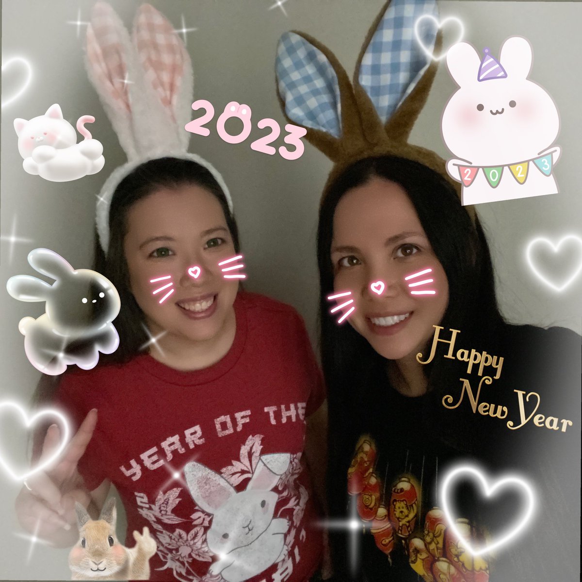 Antipode Bellydance tweet media