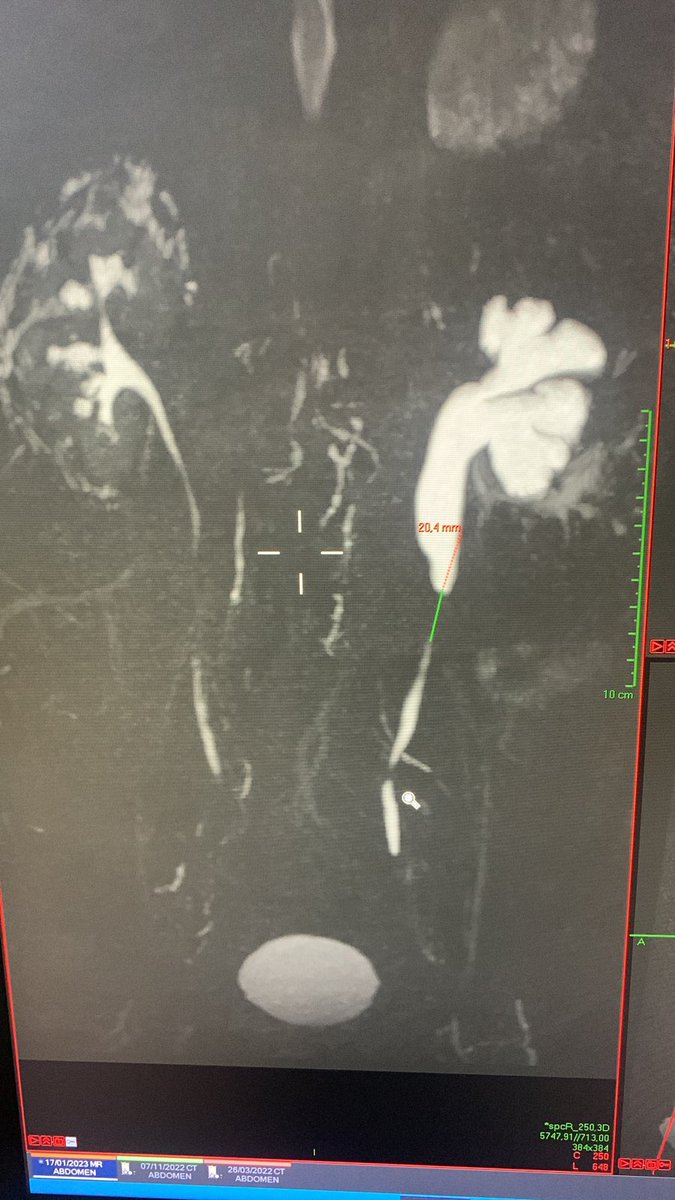 Artur de Oliveira Paludo tweet media