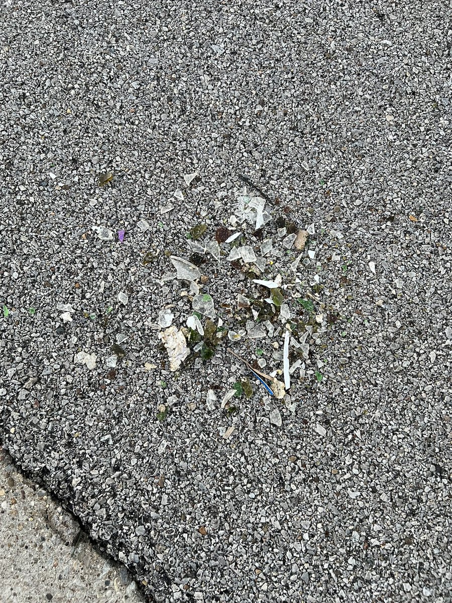 brycehansell's tweet photo. .@RumpkeNews curious as to how a pile of broken glass ended up at the end of our driveway when our recycle bin had ZERO glass in it. Think you all can keep it in your truck next time? https://t.co/8ggdjkkKcc