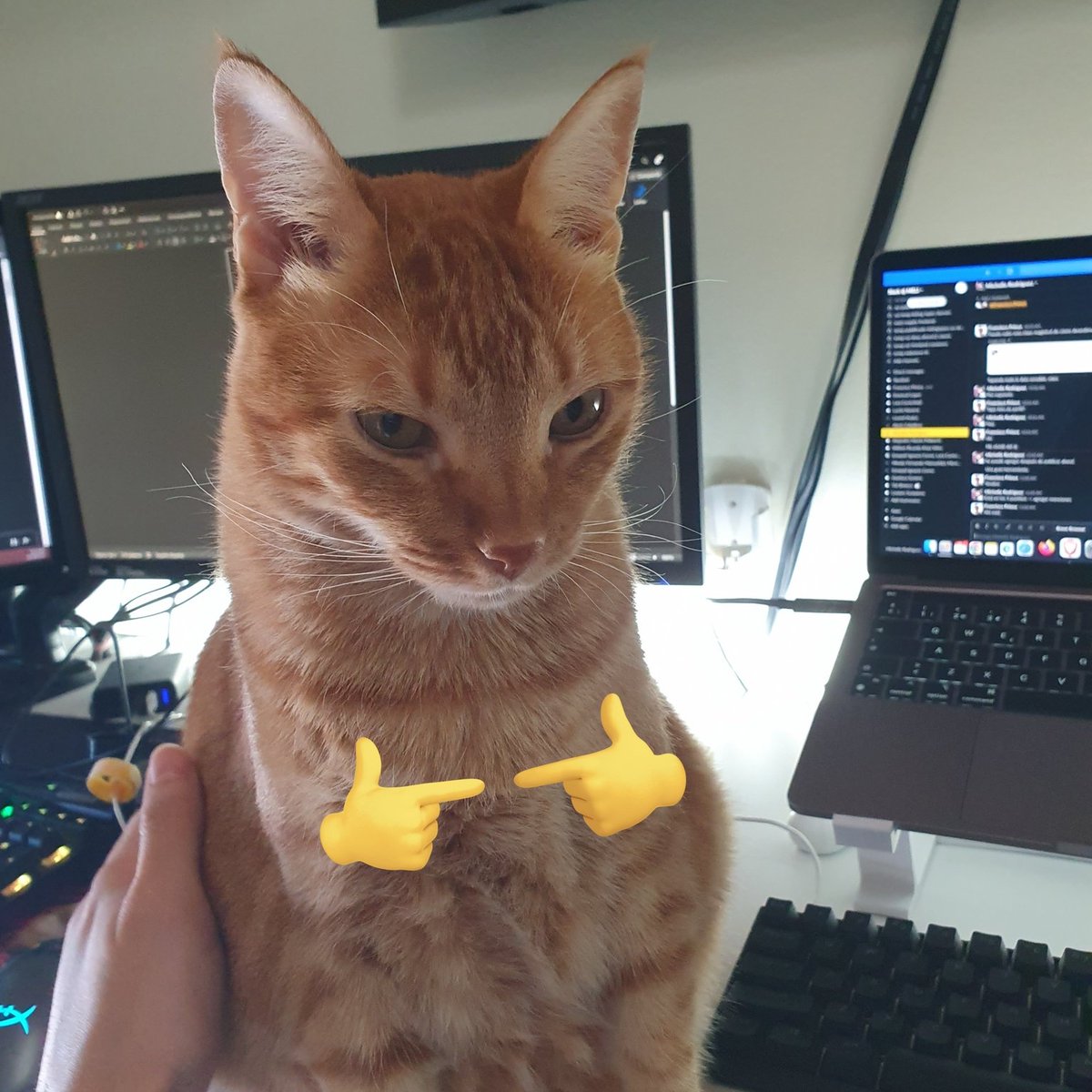 efedequisx's tweet photo. Adivinen quien va a pasar las vacaciones aprendiendo Python? #DaltoPython https://t.co/UHtat9Rm7c