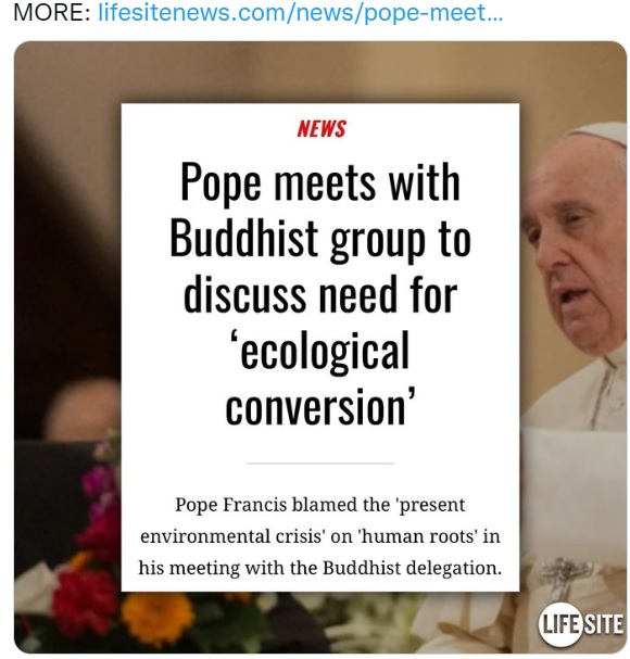 JoshuaActionNB's tweet image. GREEN POOPE
 - yup not my POPE #notmypope