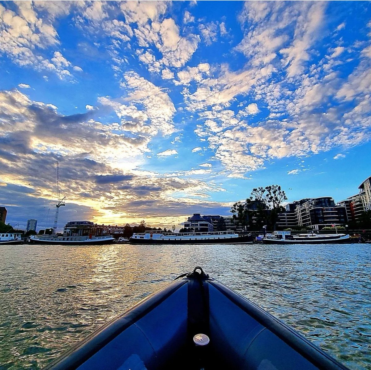 Northern Exposure Rescue tweet media