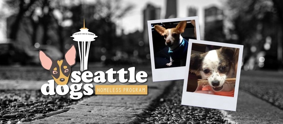 greennomad61's tweet photo. Please reach out & give a #FF to .@werseattledogs
#SeattleDogs β‘Homeless Program is a Washington State #nonprofit street outreach program that helps owners living #Homeless in #Seattle w their pets
What a truly great group πΎπ£ #helpingothers
β© https://t.co/6YcBL3mLlr https://t.co/zpUwGItWw4