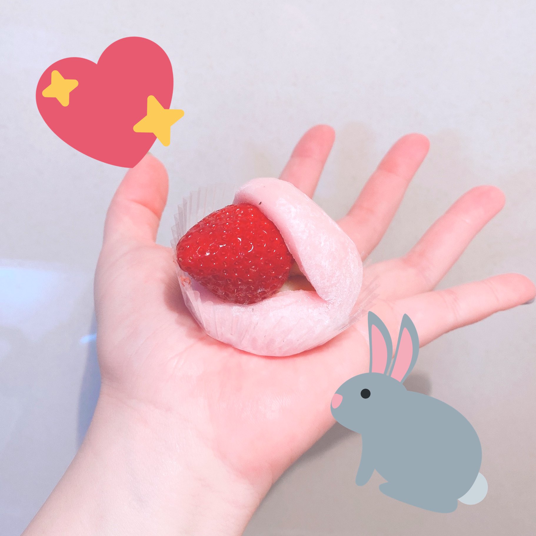 苺アイシングクッキー♡黒うさぎ 苺アイシングクッキー♡黒うさぎ 苺アイシングクッキー♡黒うさぎ