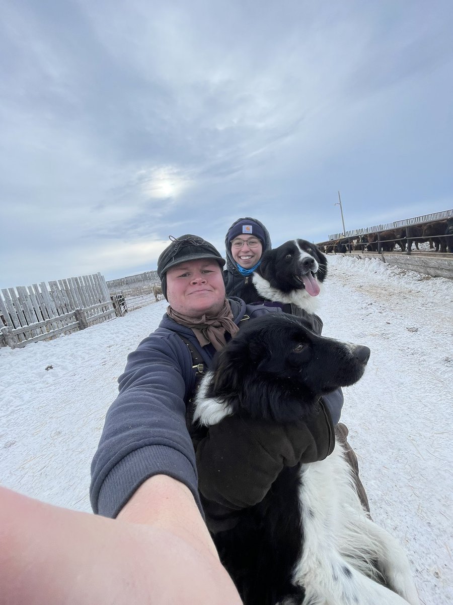 Quite often my fiancée and I go out and do chores together whether it’s feeding/checking cattle season depending. Today we took along some much needed help on the snowmobile to check fence and put away afew outlaws. Fortunate to have such a good partner to share this life with🐮