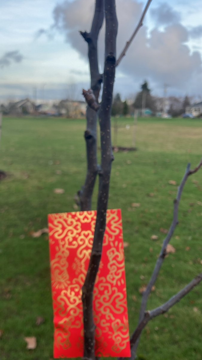 sunmonkey9's tweet image. #monkeyshines2023