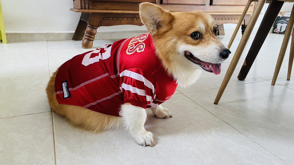 ramonfel22's tweet photo. #NFLPlayoffsEnTUDN https://t.co/XV3f2w0wkh
