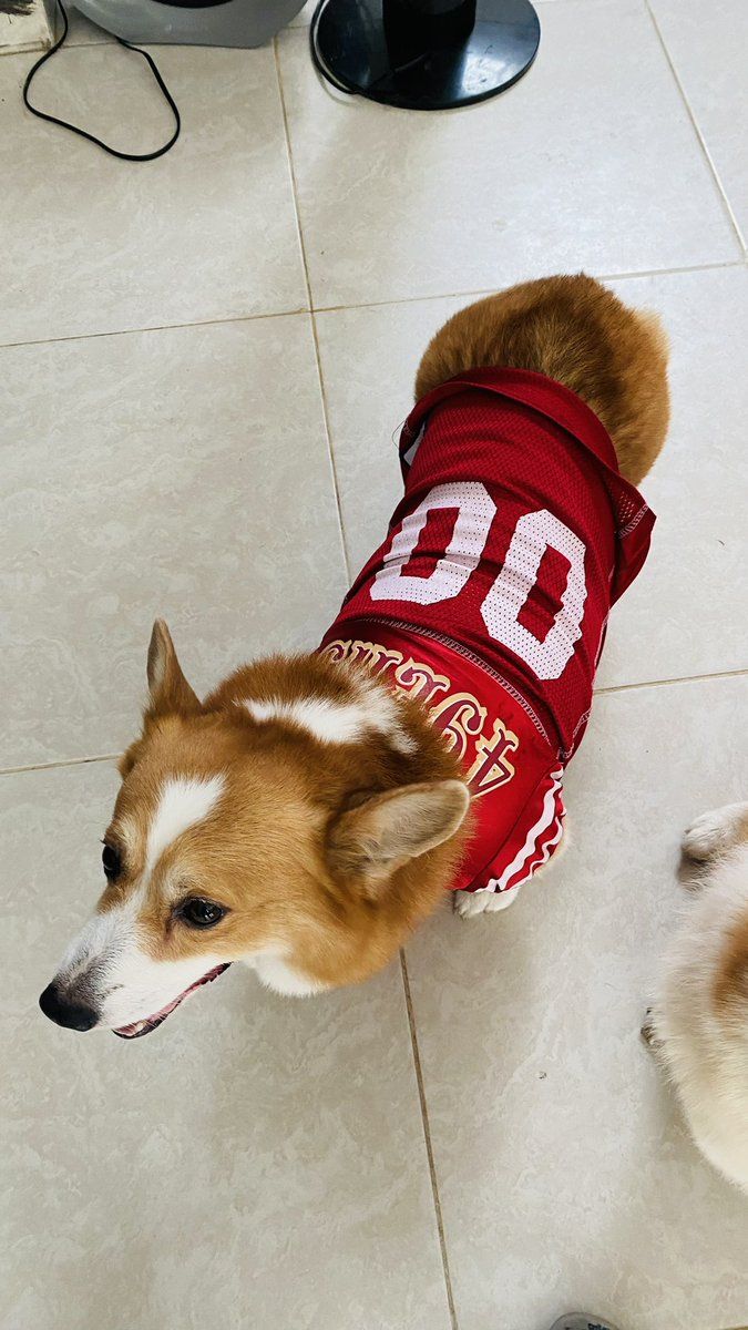 ramonfel22's tweet photo. #NFLPlayoffsEnTUDN https://t.co/XV3f2w0wkh