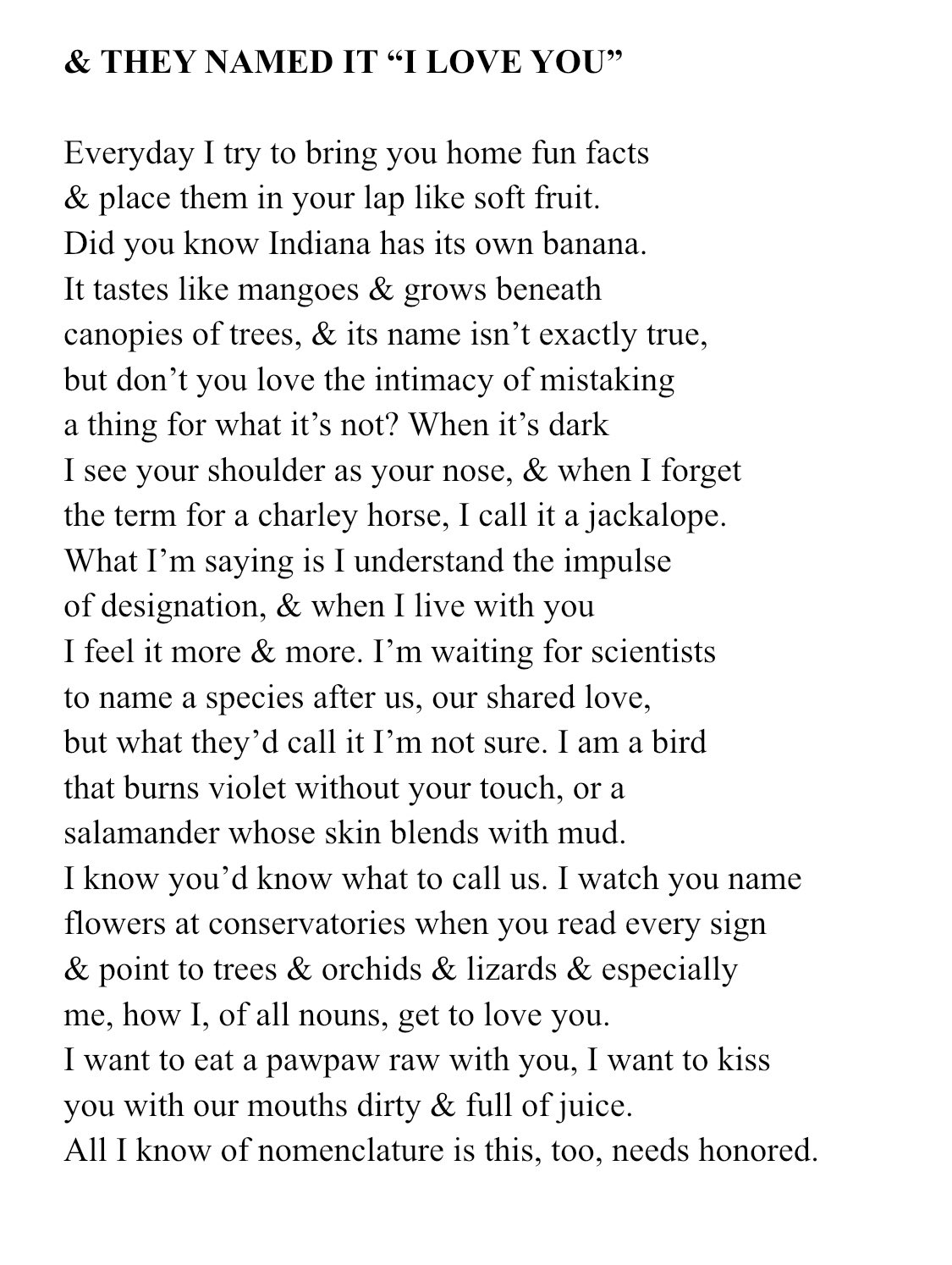 ari-arixwrites-twitter