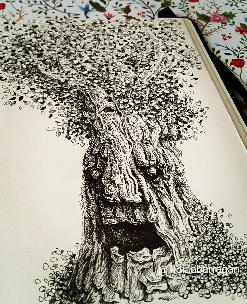 LidiaBarraganA's tweet photo. Dibujo de la serie de árboles de fantasía, 2018...#drawing #tree #treedrawing #treeartist #ink #fineline #fantasytree #imagination #lidiabarragan https://t.co/qcImjo3J4e