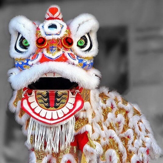akcubani's tweet photo. Every time we see a lion dance performance my friend gets so scared but they're so cute fr look at it. Look at this auspicious little fellow. This lettuce enjoying dancing fluffy little lion https://t.co/DWNgjTUy6x