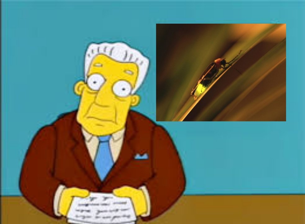 No es lo que todos nos preguntamos. Donde estan los bichitos de luz?
