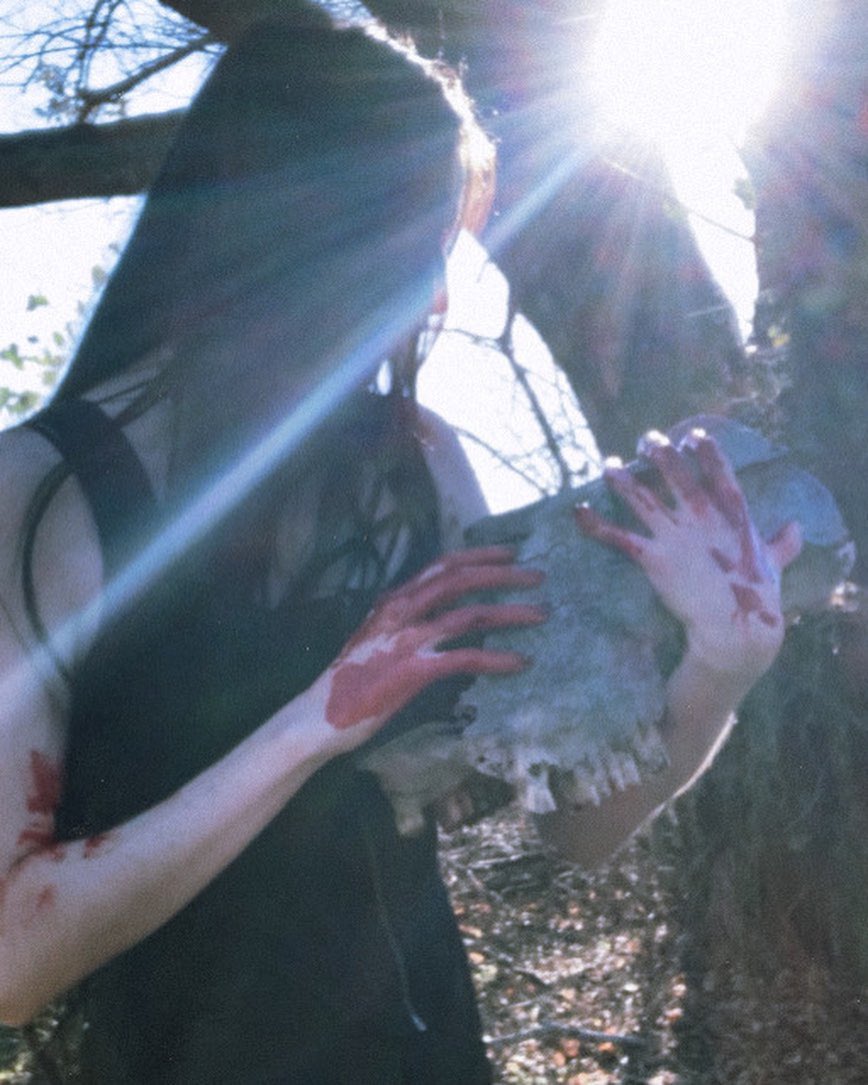 wanders_wishes tweet media