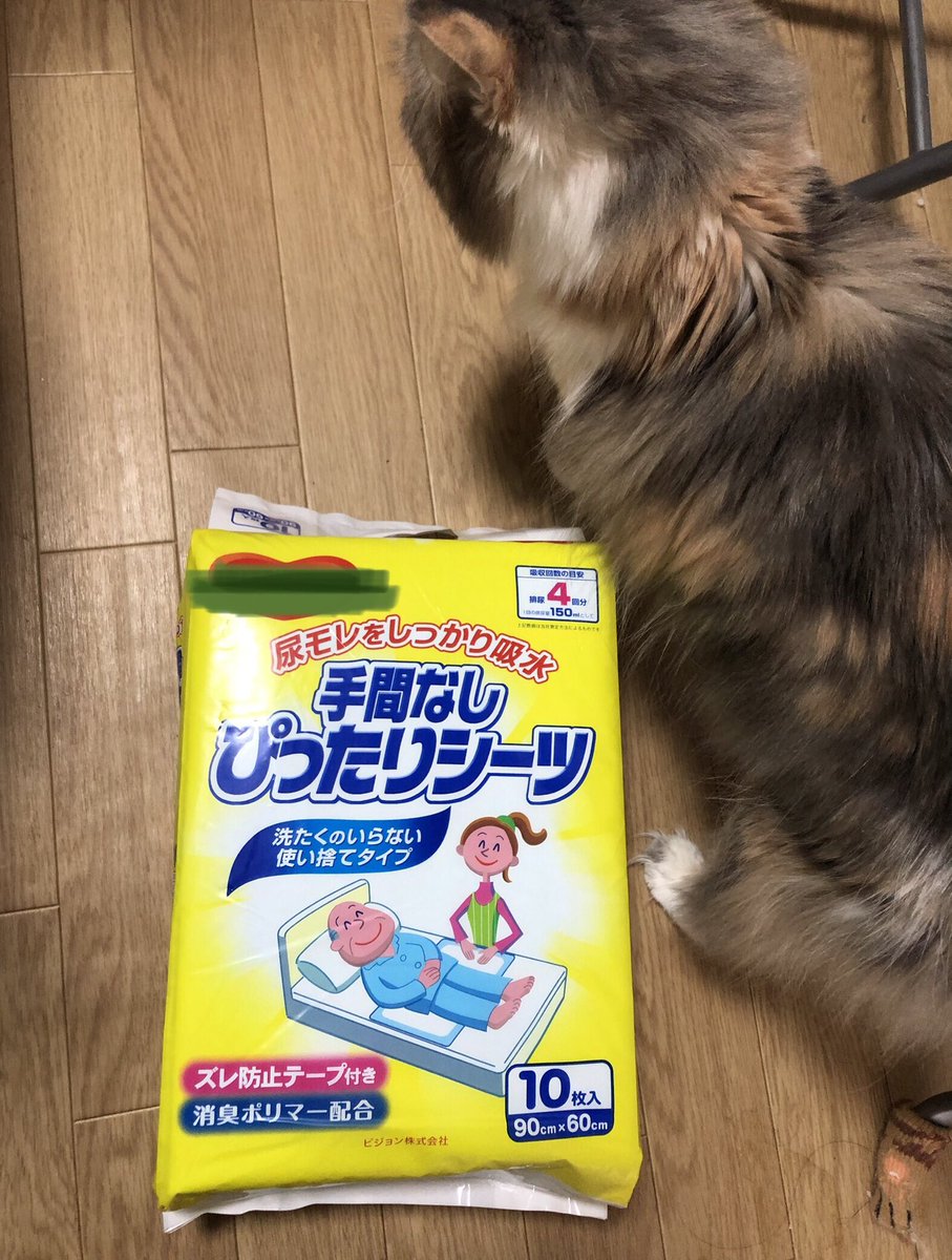 緩やかな洗脳、ジェンダーバイアスについて思う事（超・長文）

１．
ワシは脳梗塞の後遺症により、今まで当たり前で簡単だった様々な動作が不可能になったが、同時に今までは気が付かなかった、色々な「事」が見えるようになったのだ。
（続く）