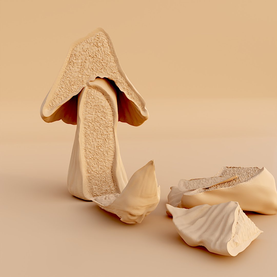 Alkoreielm's tweet image. Day 10 of Sculpt January 2023 - Sliced

Ouch!...

#sculptjanuary2023 #day10 #sliced #Blender3d  #nomadsculpt