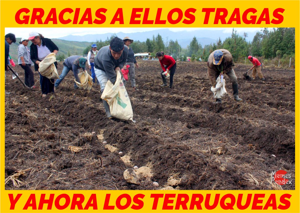 salvajedigital's tweet photo. Mortal.
#DinaAsesinaRenunciaYa https://t.co/eiW4SyhgNv