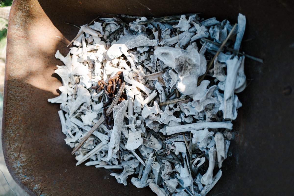 Andy Bokanev tweet media