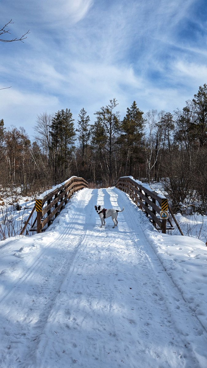 dlaufenberg's tweet image. We're going to call this #cowchat #weekendedition, @JenAnsbach. In the winter I don't want to leave my mittens off long enough to tweet... And then I forget. 1. Wendell &amp;amp; Blanca enjoying sun. (The 1 day the sun was out) 2. Frolicking 3. Big sky country 4. A perfect Sunday morning