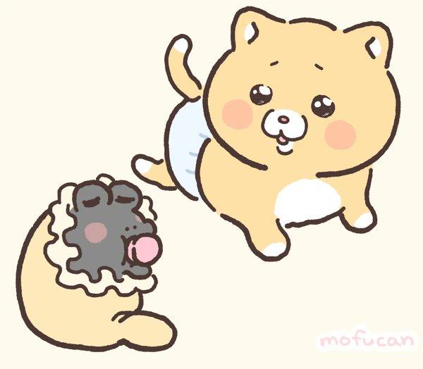 再掲です 泣きむし子猫のキィちゃん