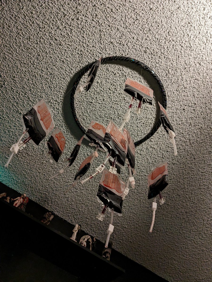 What do you see when you're laying in bed and look up? 
I see my blood mobile. Yes, Blood Mobile 🩸

#gothicbedroom #sfxblood #bloodmobile #fxartist #bloodbags #ivbag #goth #horror #horrordecor #creepyart #weirddecor #bloodybeautiful #screamqueen #horrorwhore #alt #gothichome