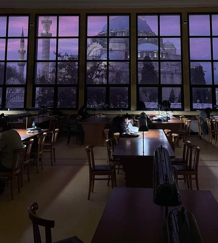 "İstanbul Üniversitesi'nde okumak, insanı tarih ve uygarlık simgeleriyle yoğuran, göz ve gönül okşayan keyifli bir ayrıcalıktır."(<a href="/UgurGuracar/">Uğur Güracar</a>)

Bu iyi yanı. Kötüsü ise; bitiren GS ve mülkiye mezunları gibi birbirini tutmaz. Yalnızsındır. Adın ya duyulur ya silinir ortası yoktur.