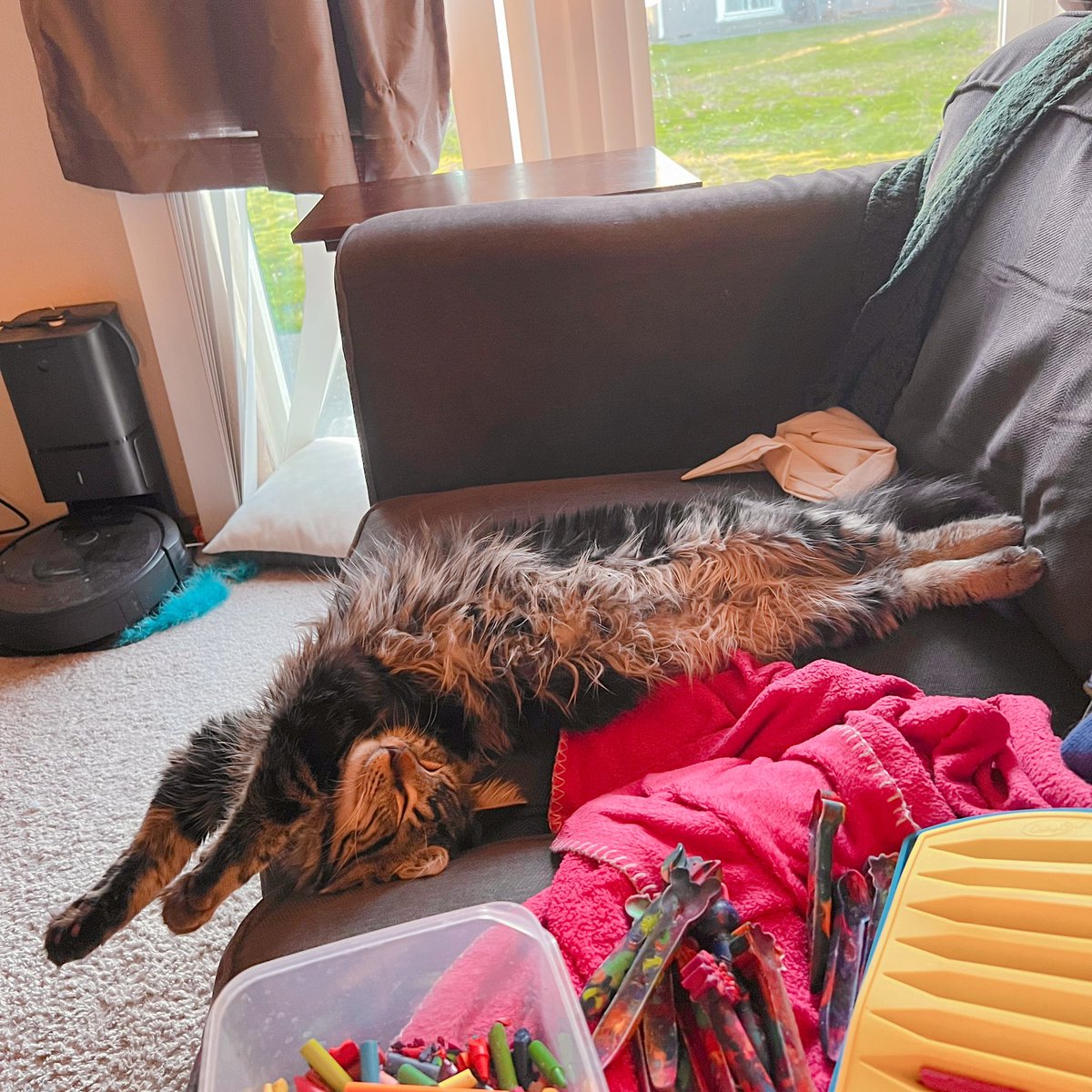 SketchyChel's tweet photo. This kid is such a creative sleeper https://t.co/WzAr9coUP1