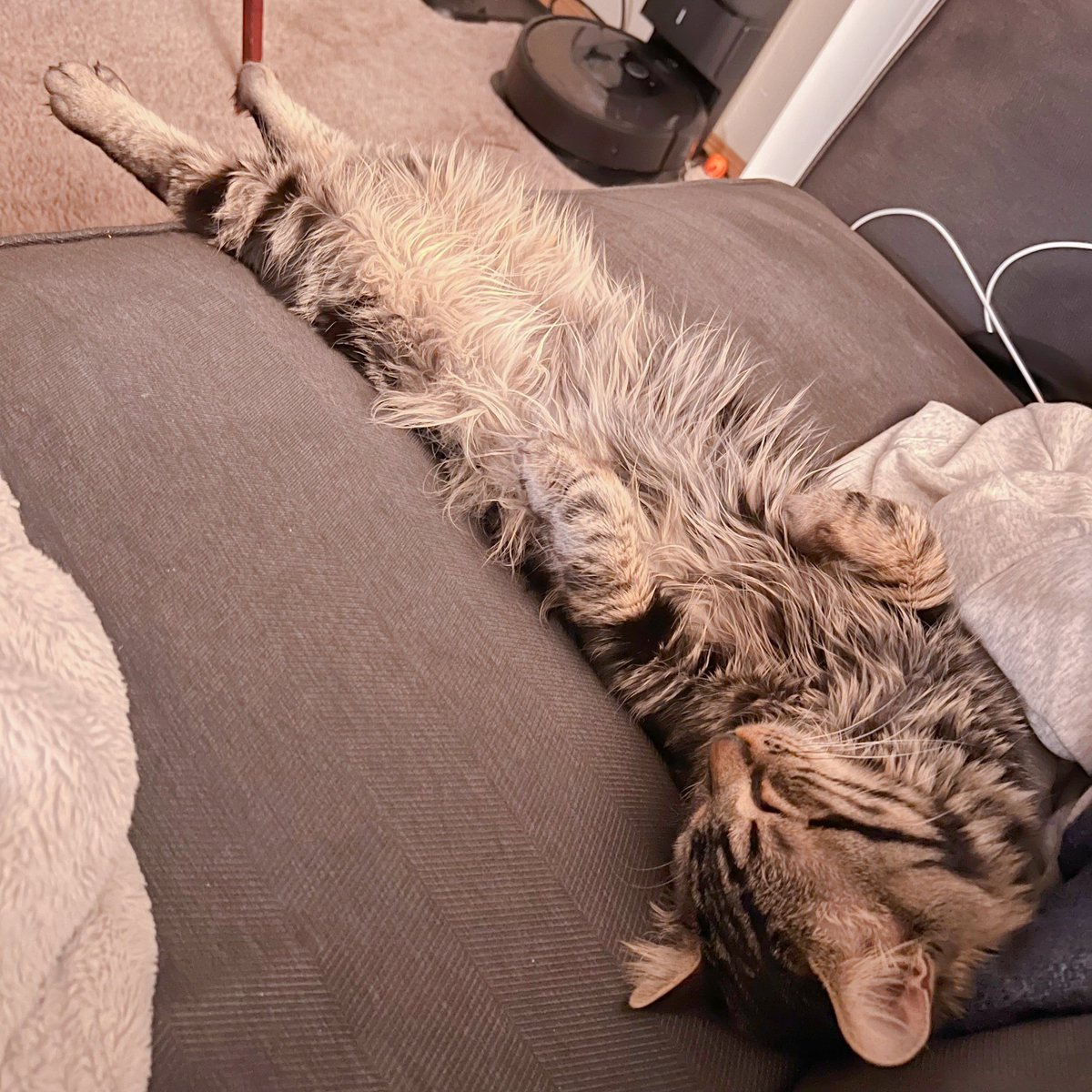 SketchyChel's tweet photo. This kid is such a creative sleeper https://t.co/WzAr9coUP1