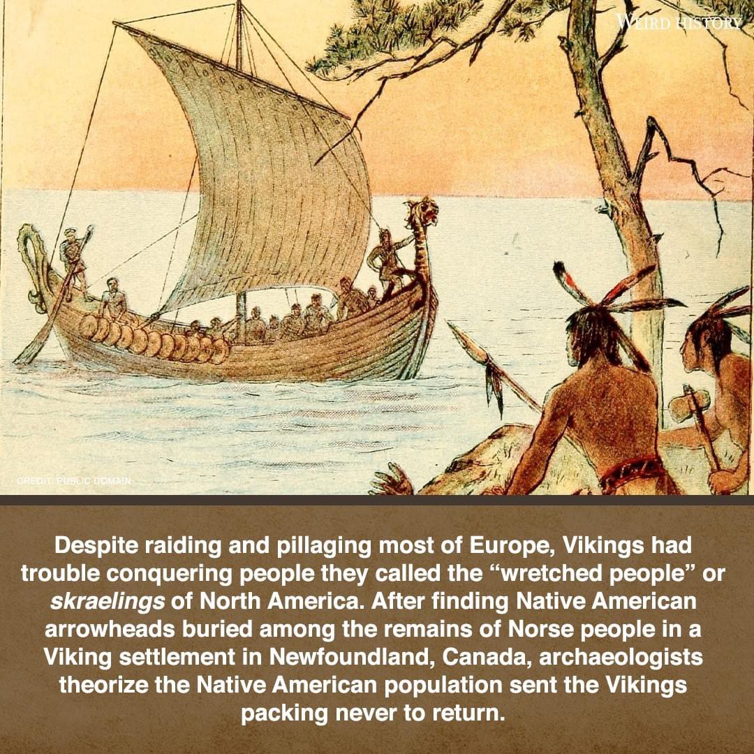 sattology's tweet image. Brave Native Americans had defeated Vikings as per some reports. #NativeTwitter #NativeAmericans #nativehistory