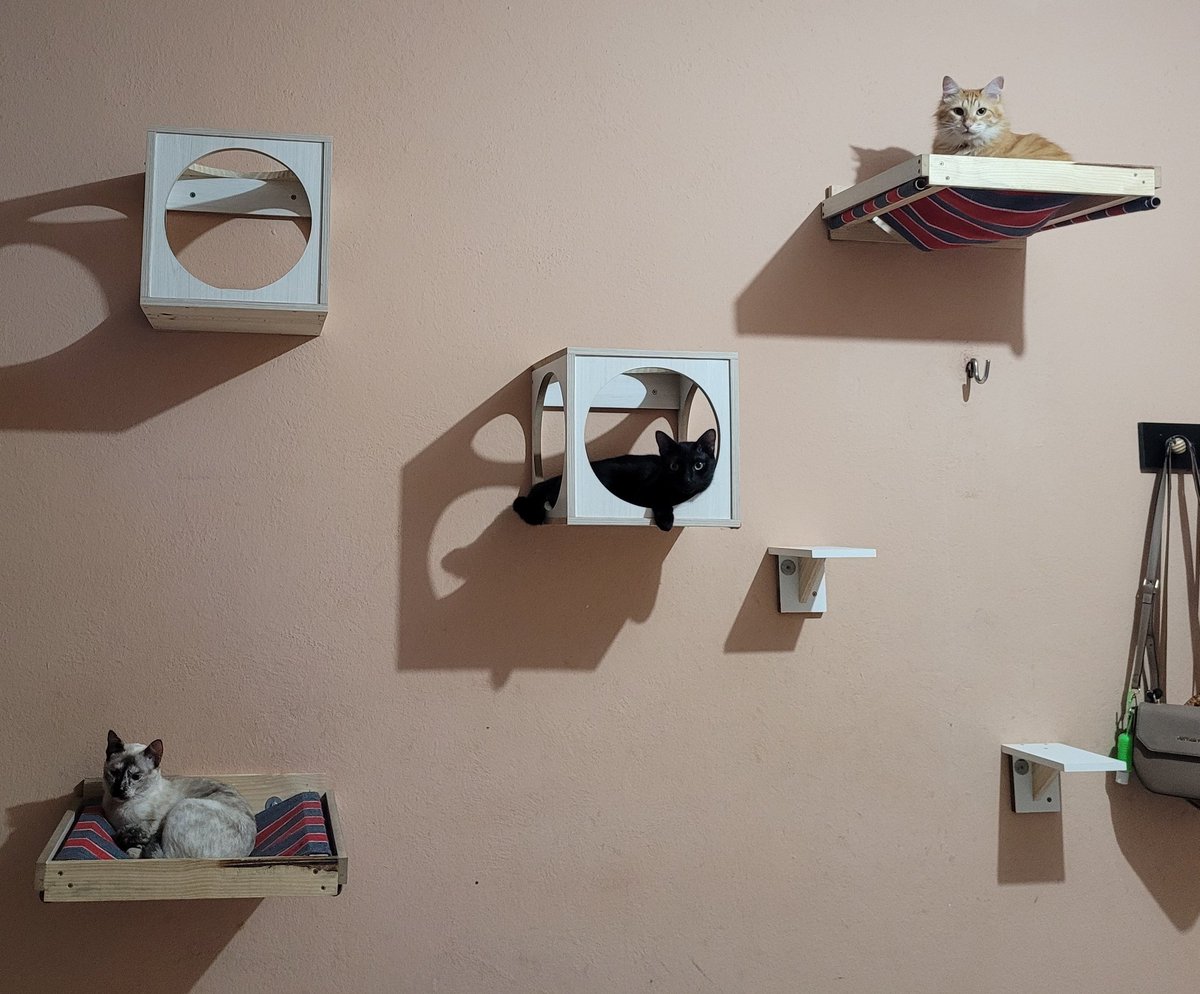 Meu Deus como eles são lindos😻😻