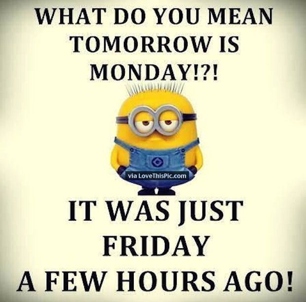 suzyemre's tweet image. I mean, what a crazy fast weekend! Time to countdown to Friday #FastWeekend #TomorrowIsMonday