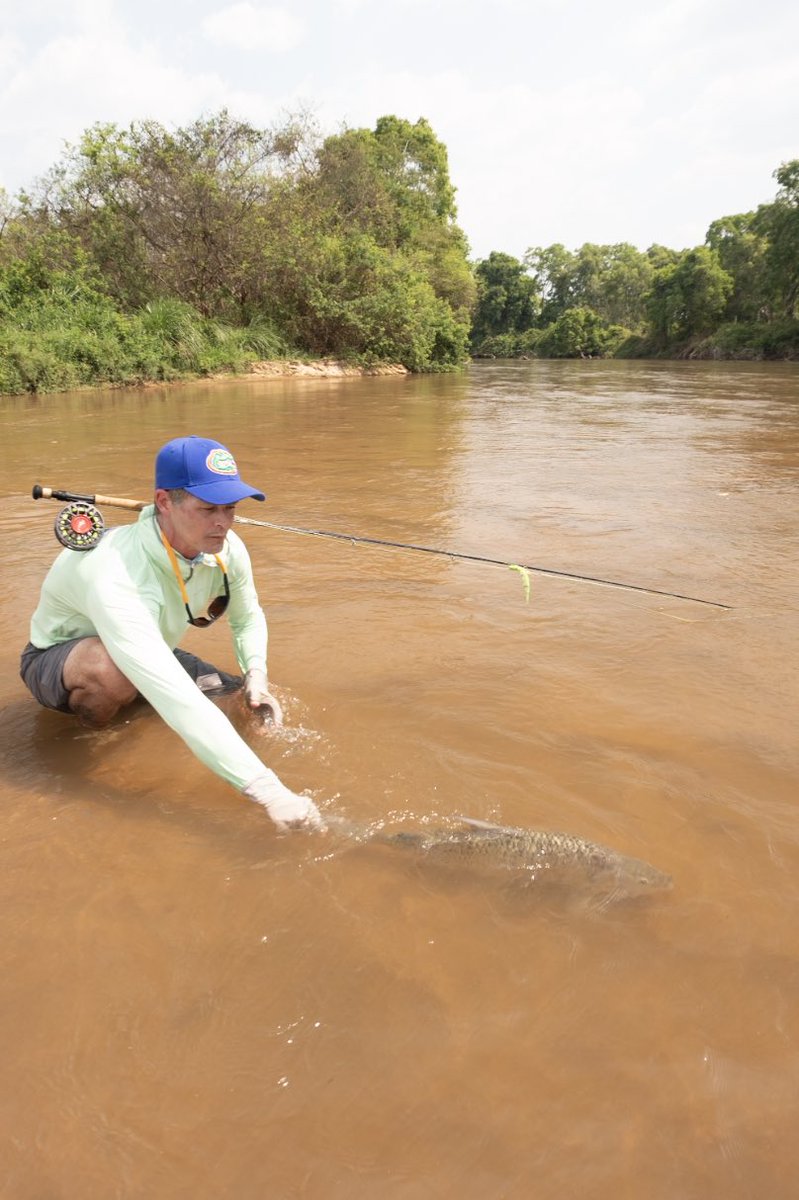 The Fly Shop tweet media