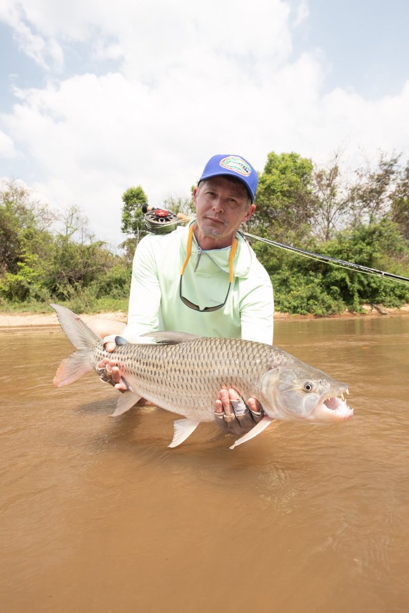 The Fly Shop tweet media